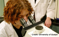 Microscope nano